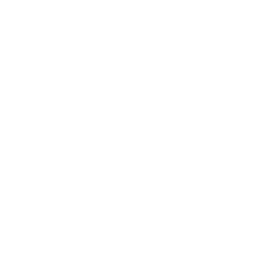 MIC